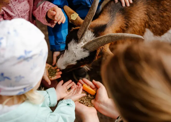 Alte Schule 3 Casa vacanze