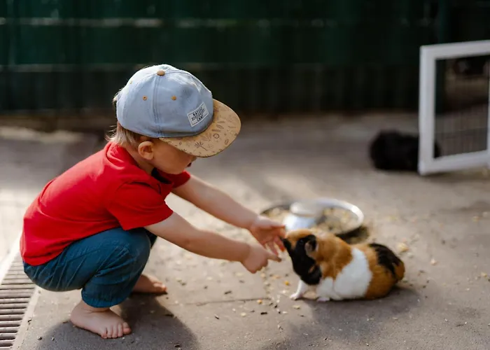 Casa vacanze Alte Schule 3