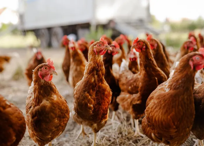 Alte Schule 3 * Staberdorf