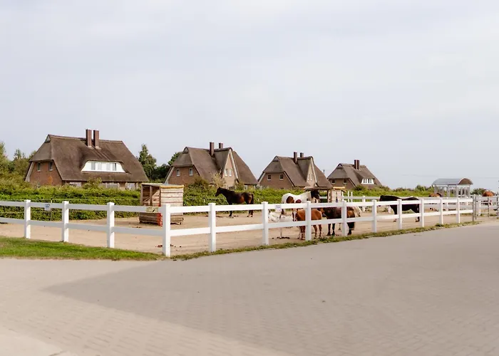 Casa vacanze Alte Schule 3 Staberdorf