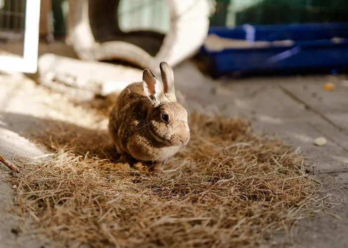 Alte Schule 3 Casa vacanze