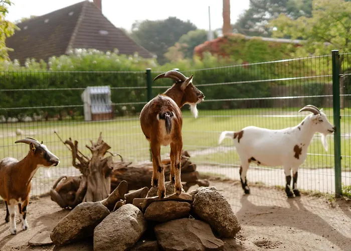 Casa vacanze Alte Schule 3