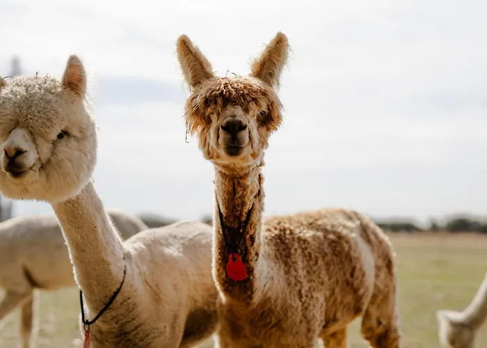 Alte Schule 3 Casa vacanze *