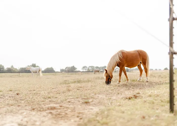 Casa vacanze Alte Schule 3 *