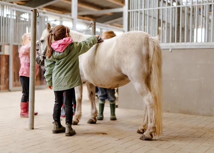 Casa vacanze Alte Schule 3 Staberdorf