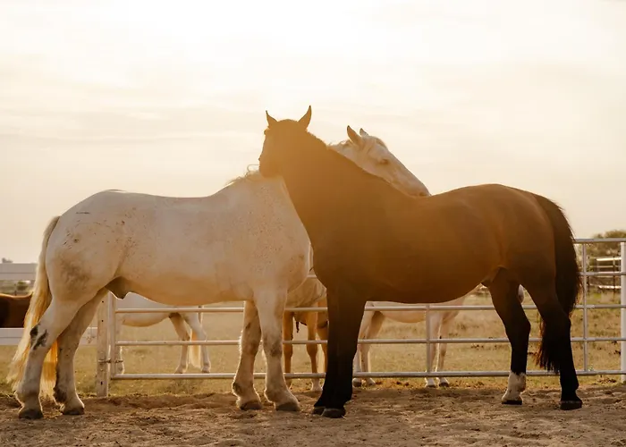 Alte Schule 3 Staberdorf