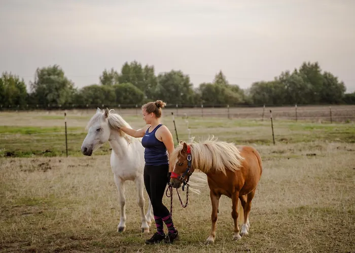 Alte Schule 3 * Staberdorf
