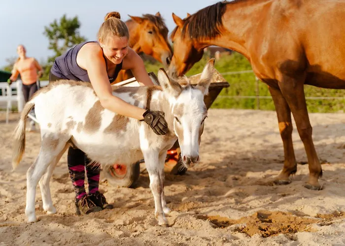 Alte Schule 3 Casa vacanze *