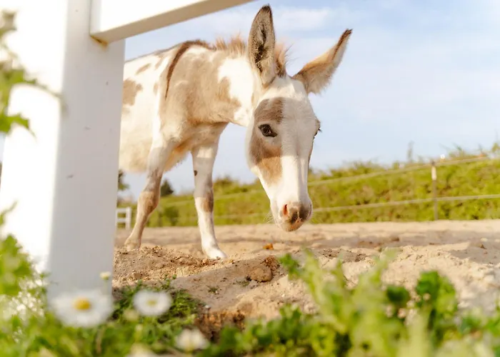 Casa vacanze Alte Schule 3 Staberdorf
