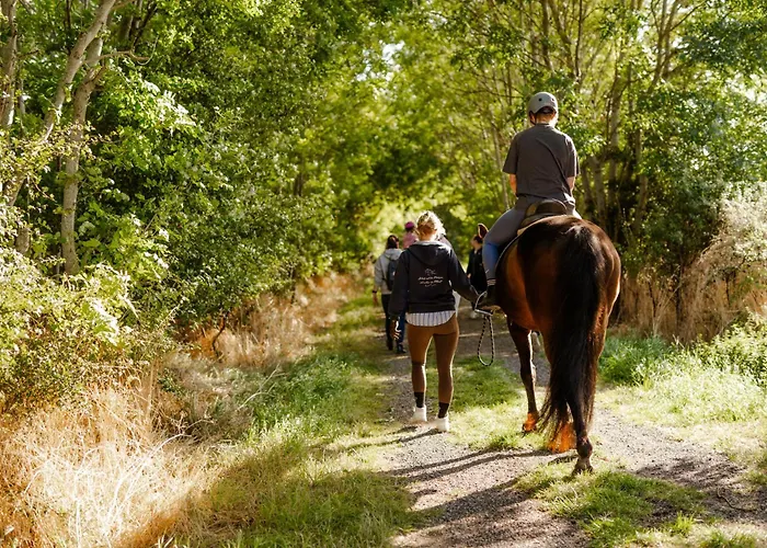 Casa vacanze Alte Schule 3 Staberdorf
